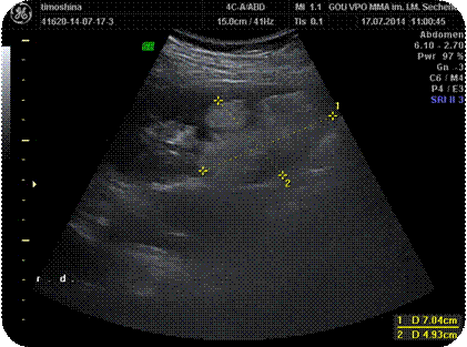 image006.gif